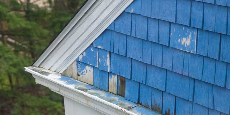 Discover the 5 Signs It’s Time for Repainting Your House!