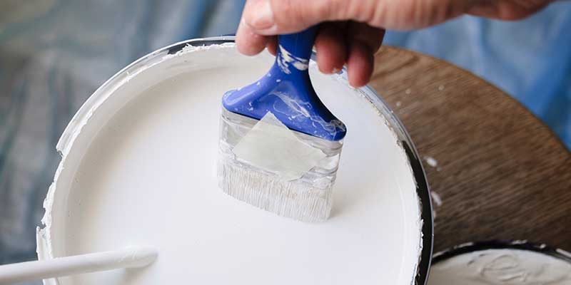 Cheaper Paint May Look Acceptable Initially But Coverage Hide And Bond Strength Determine Repaint Frequency