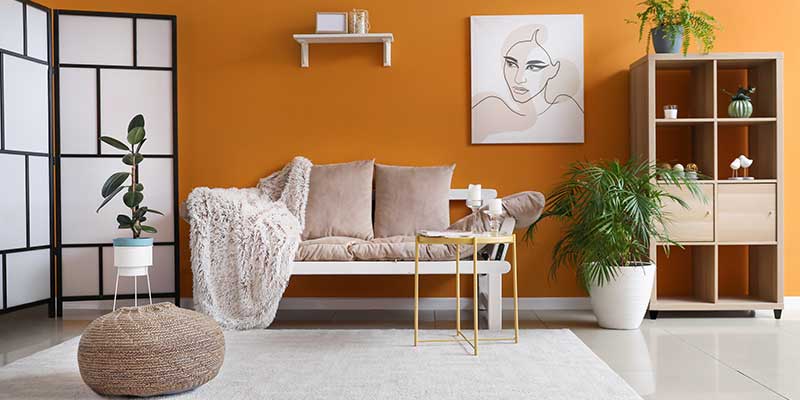 Eggshell Has A Hint Of Luster Think The Bloom On A Fresh Egg Providing More Durability