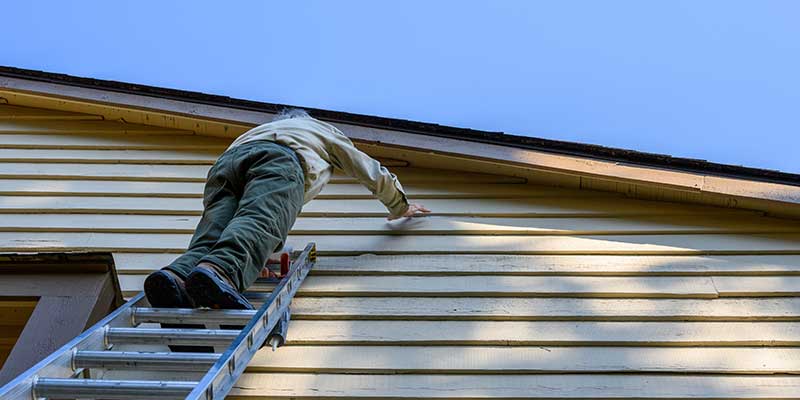 Fiber Cement Vinyl And Cedar Options Protect Your Envelope And Elevate Curb Appeal